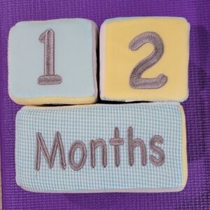 Baby Milestone Blocks in Blue and Yellow
